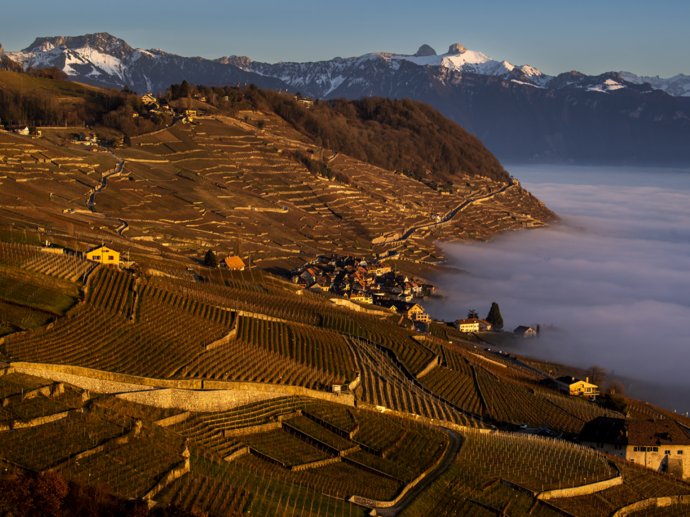 New management plan for the Lavaux site