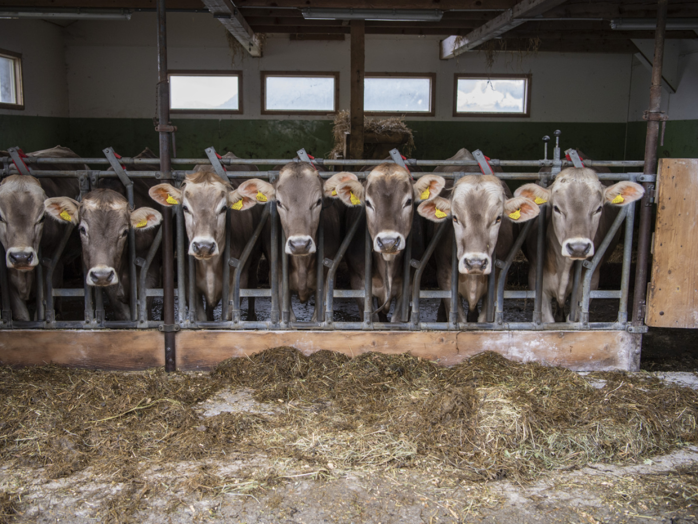 The Federal Council sets the course for agricultural policy 2030+.