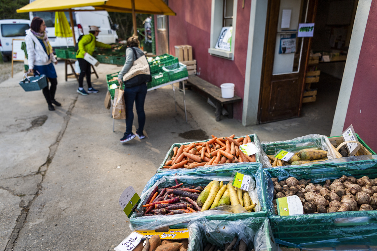 Овощи в пластиковых ящиках, выставленные на продажу во дворе