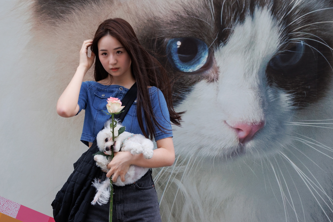 中国千禧一代越来越少生孩子，越来越多养宠物。