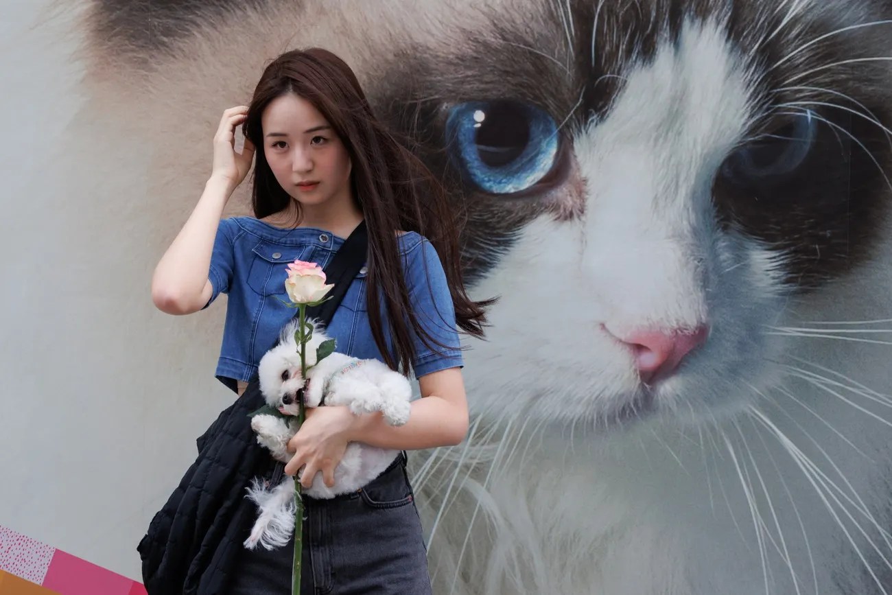 中國千禧世代越來越少生孩子，越來越多養寵物。