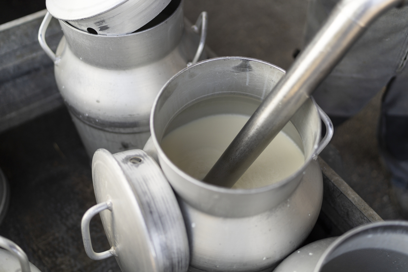 New Swiss laws enter into force on February 1