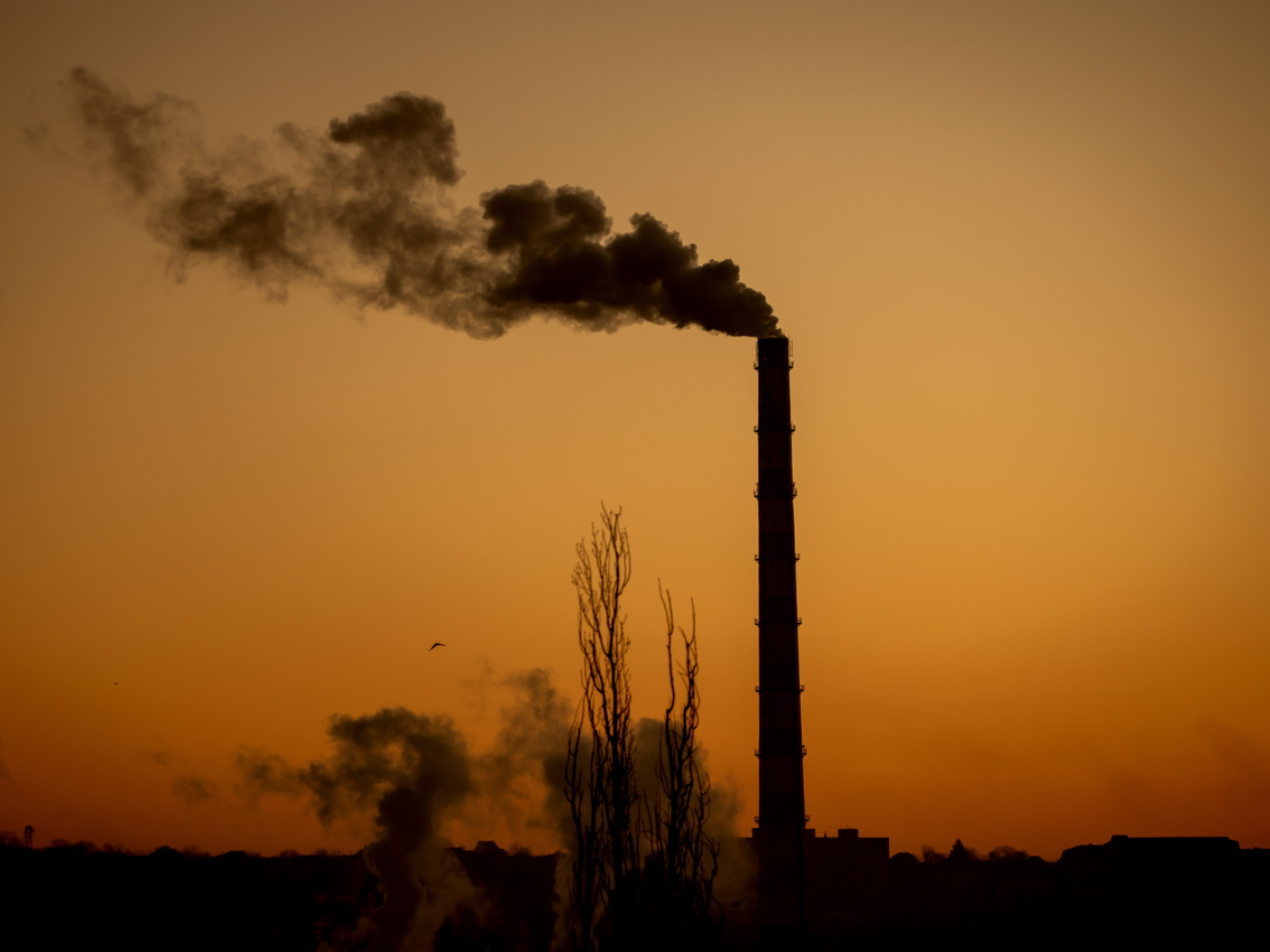 Confederation criticised for supporting gas plants abroad