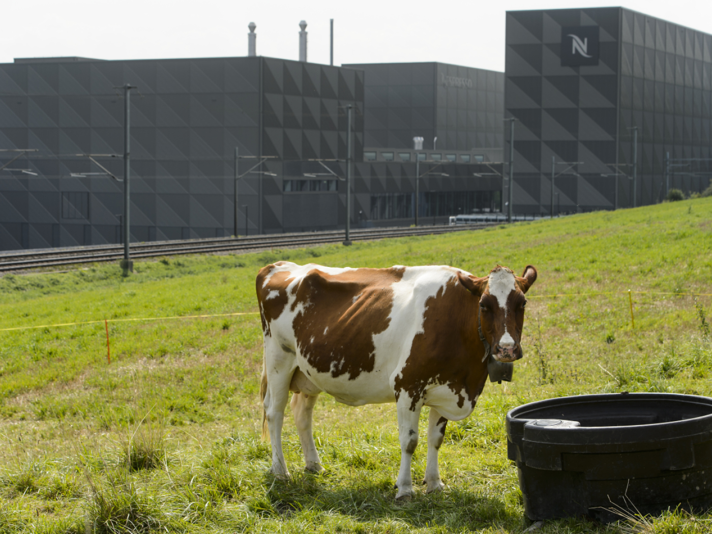 Cocaine "delivered" to Nespresso: 15 years in prison