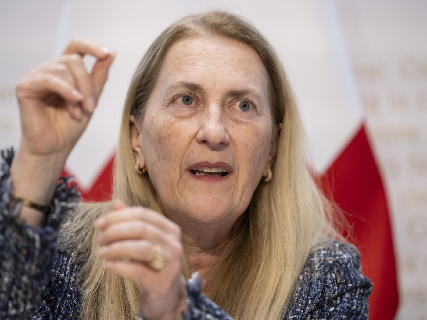 "We have to live with customs duties", warns SECO