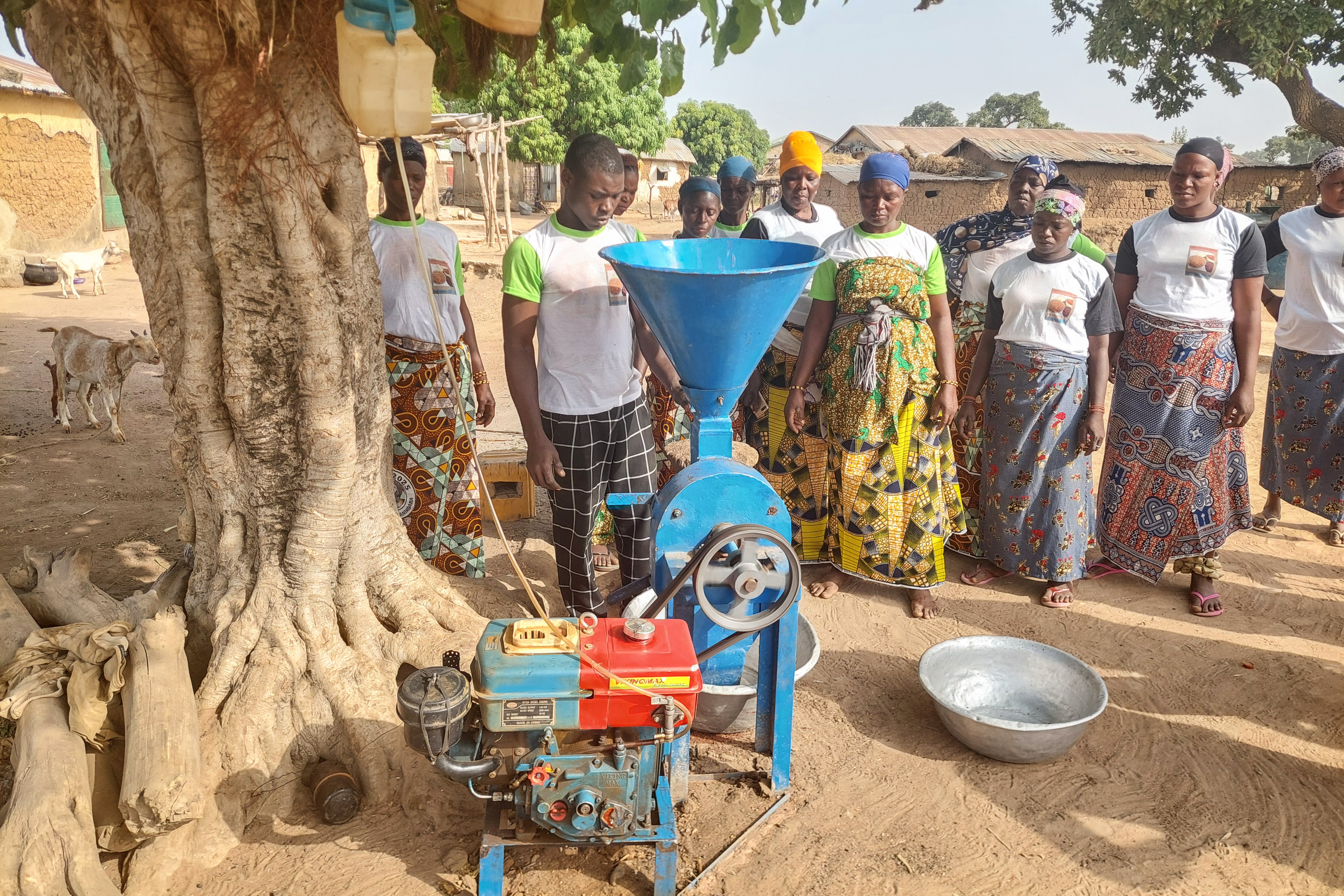 مطحنة تحت شجرة