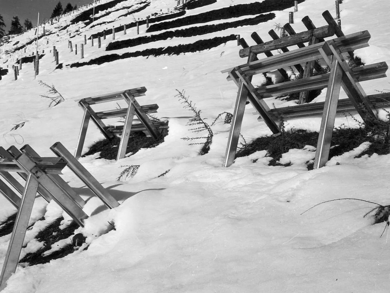 Protezione dalle valanghe