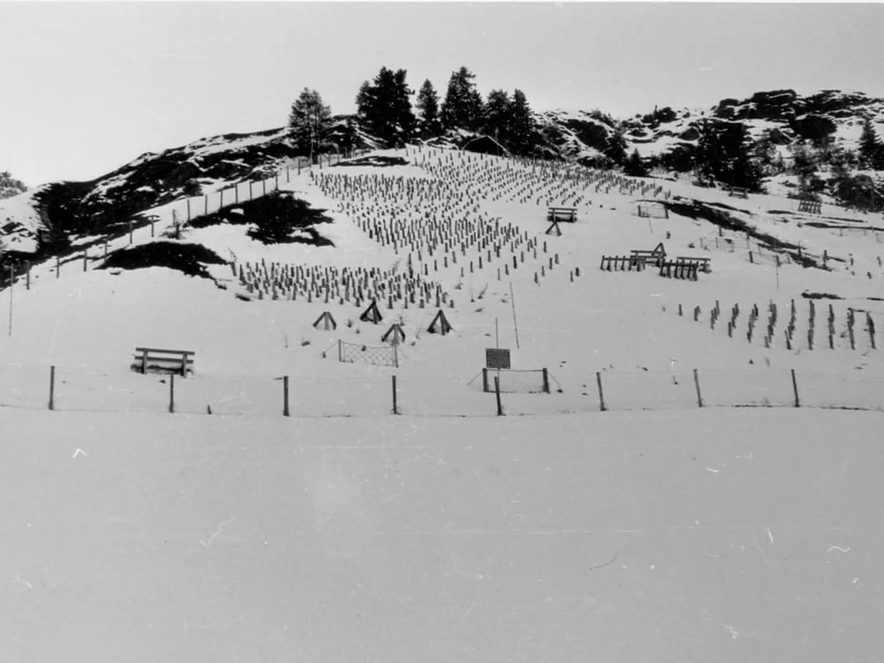 Protezione dalle valanghe