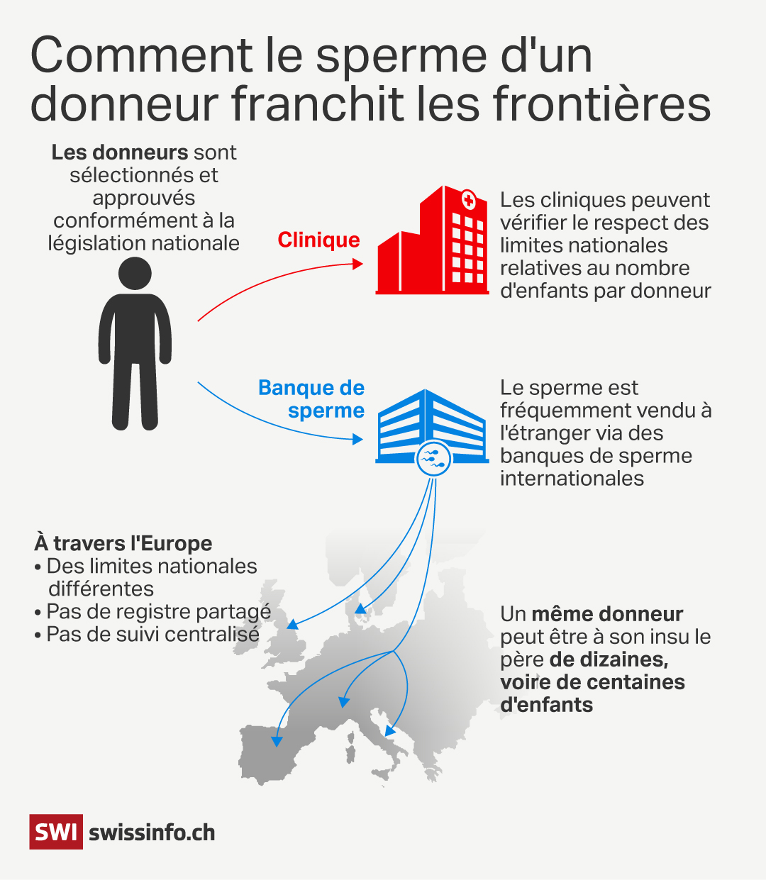 infographie don de sperme