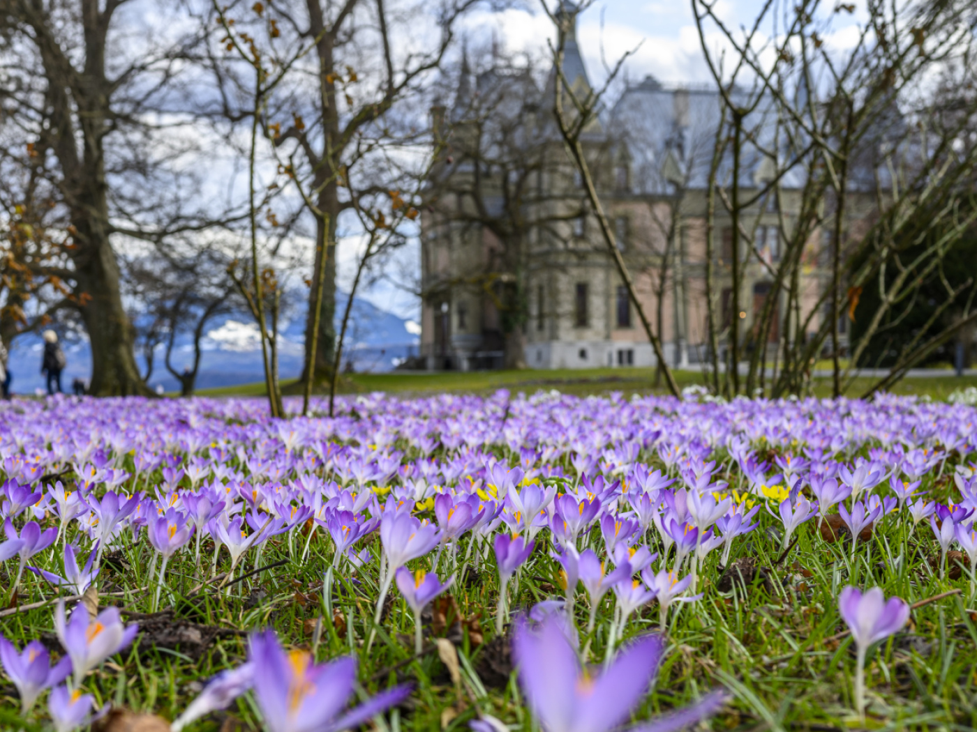 Spring arrives earlier and earlier in Switzerland