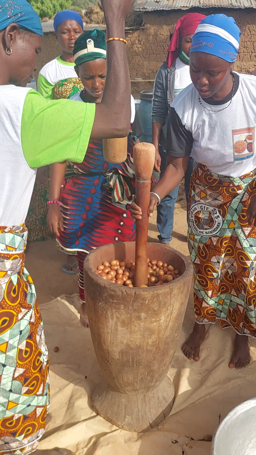 Photo of group of women crushing shea nuts.
