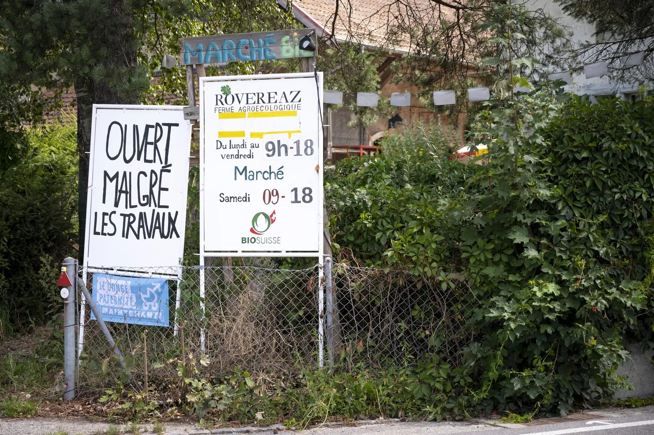 許多人會特意去有機農場購買蔬菜和水果。