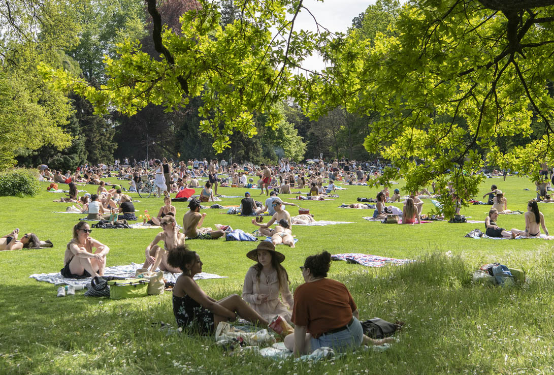 Crowded? A summer scene on the lakeside in Zurich.