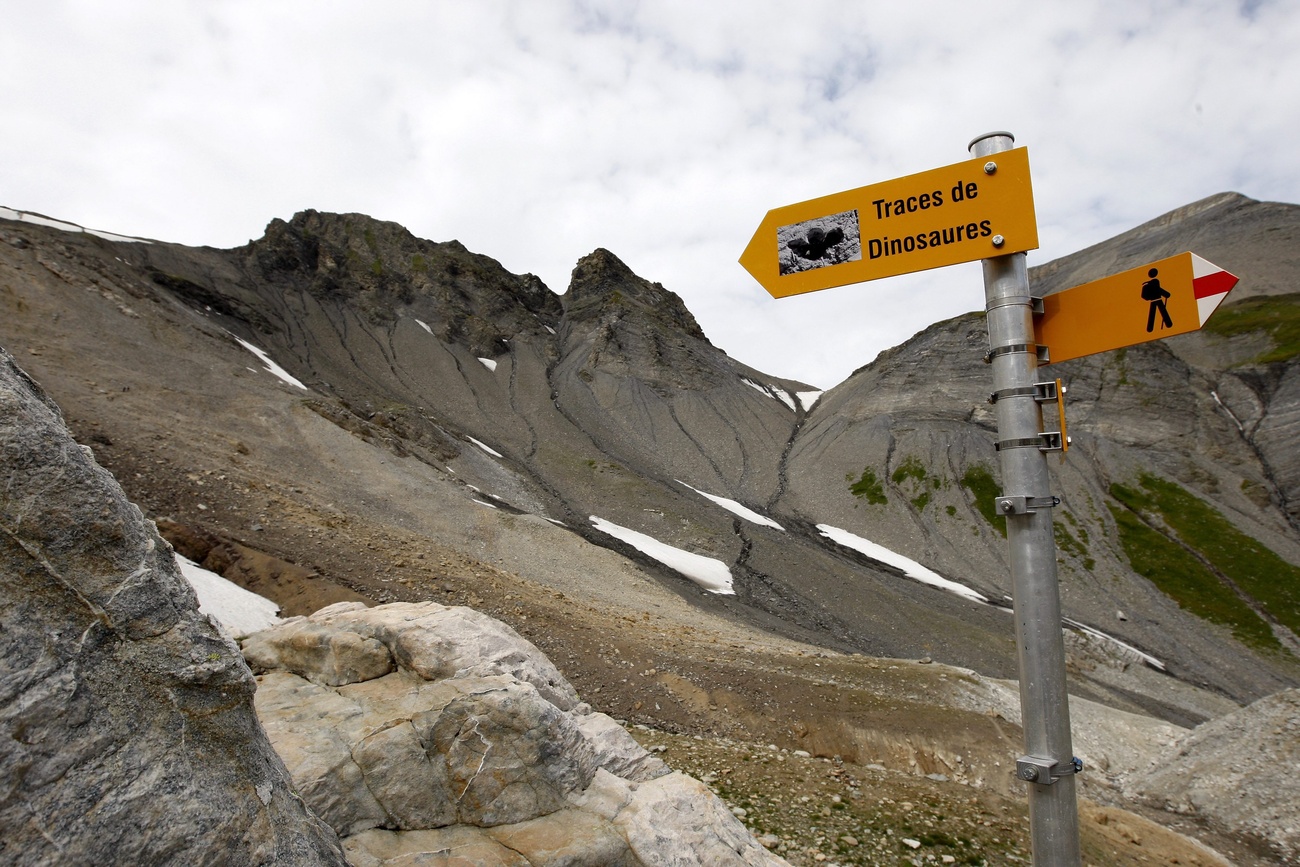A hiking sign pointing to a dinosaur trail.