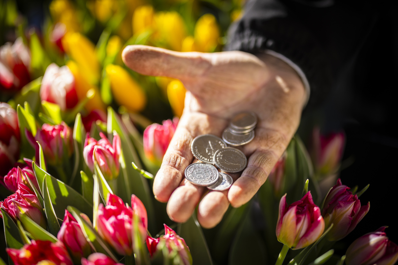 Photo of person's hand holding coins with flowers in the background