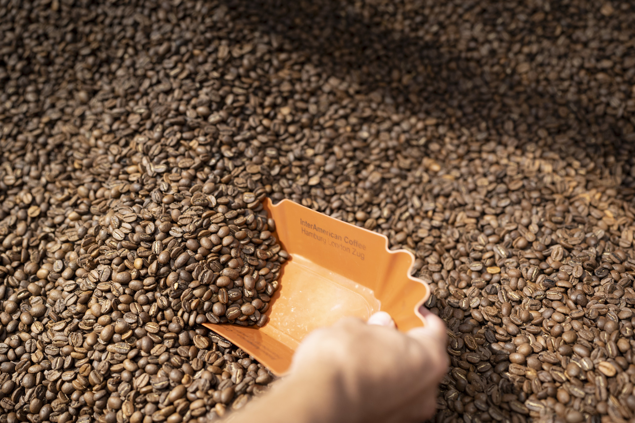 post Como a Suíça virou a segunda maior exportadora de café do mundo agro Grãos de café torrados