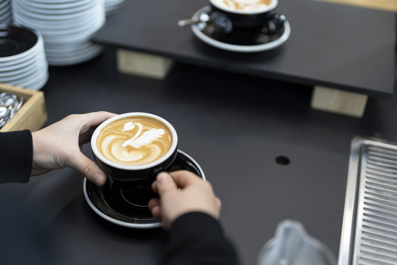 A barista creates a design using warm frothed milk on a latte