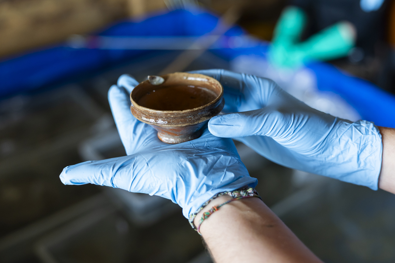 Mani reggono vasetto di terracotta