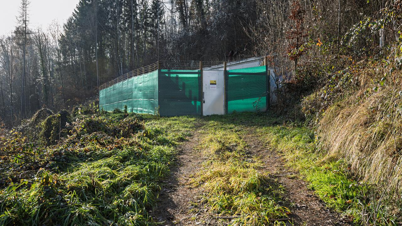 In der Schweiz startet ein Projekt zur menschlichen Kompostierung.