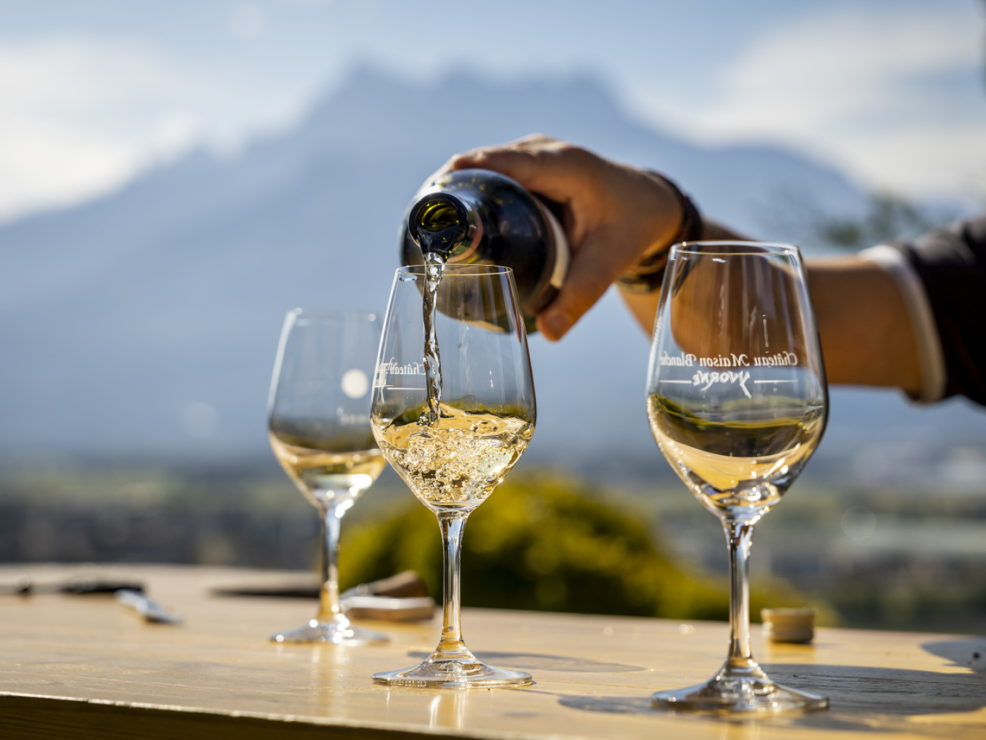 vino bianco versato in bicchieri