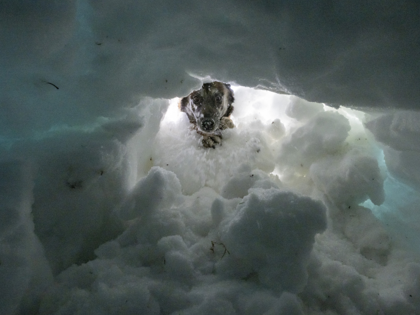 Avalanches have claimed 15 lives in Switzerland this winter