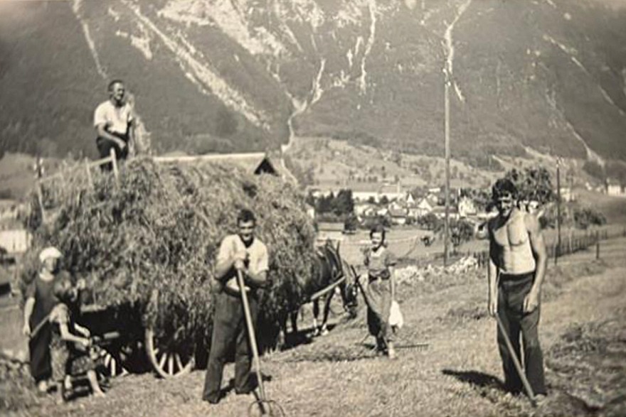 Archive picture of a family making hay, someone is standing on top of the hay trailer.