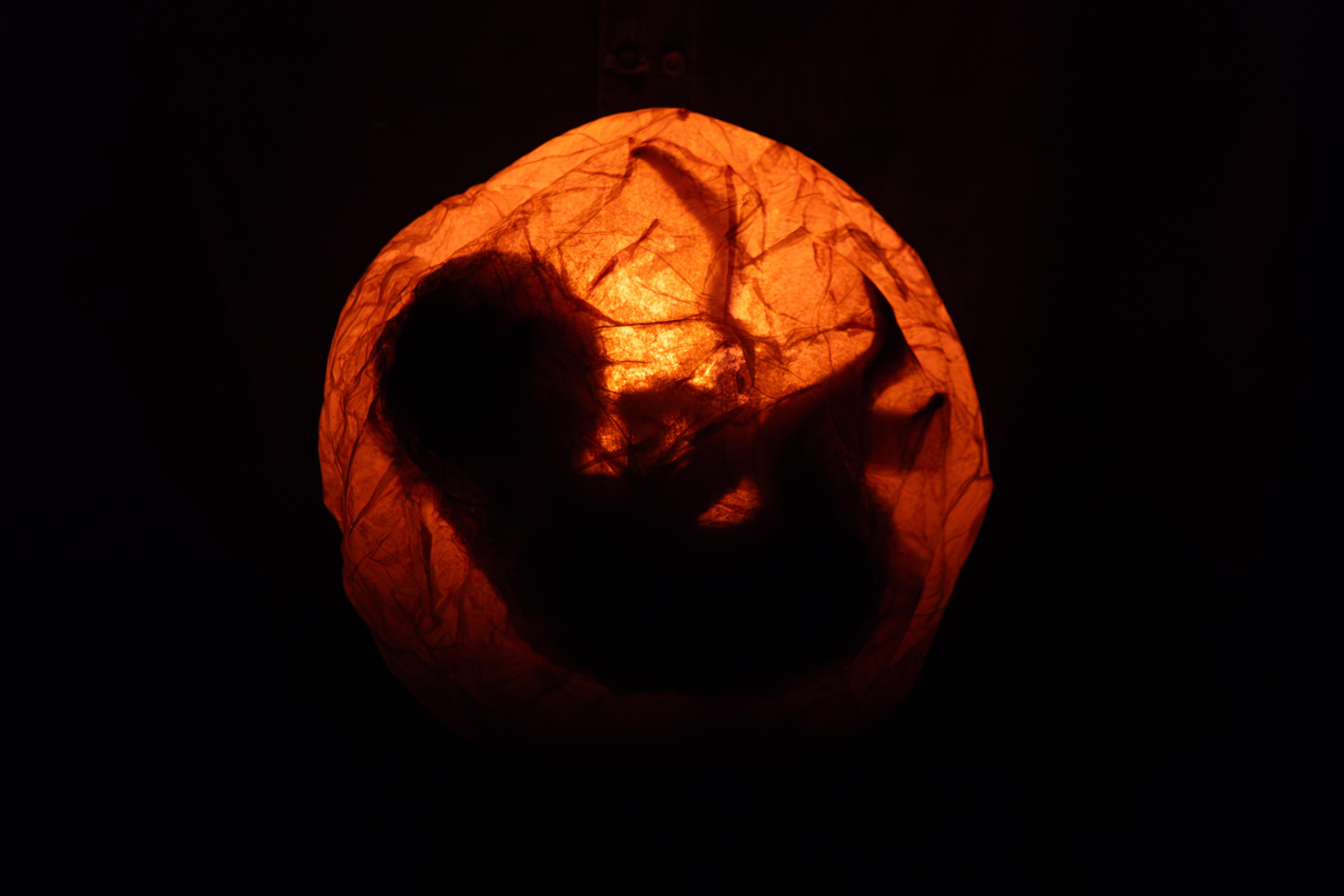 "Heritage", by Daniela Markovic. Born in Rambouillet, near Paris, to a family of Serbian origin, the artist has been based in Lausanne since 2010.