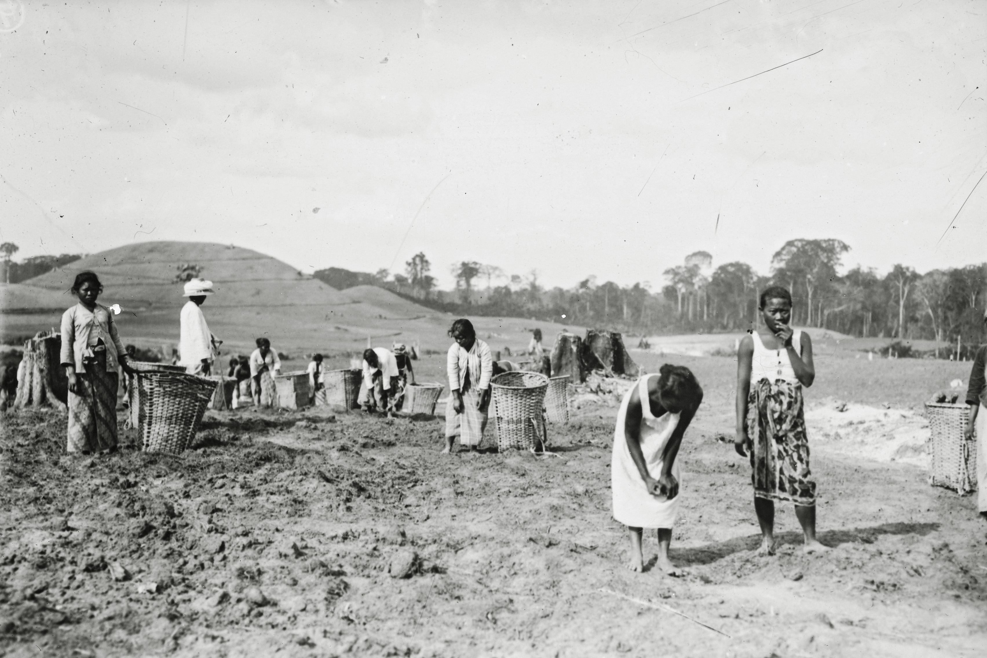 Field workers