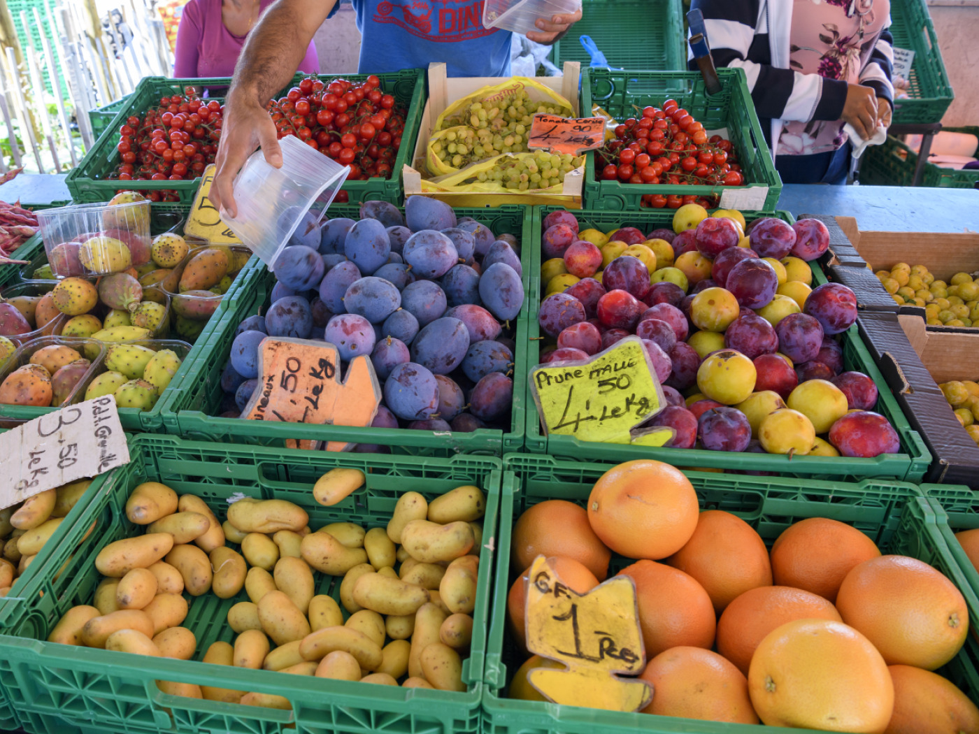 Parliament rejects food initiative