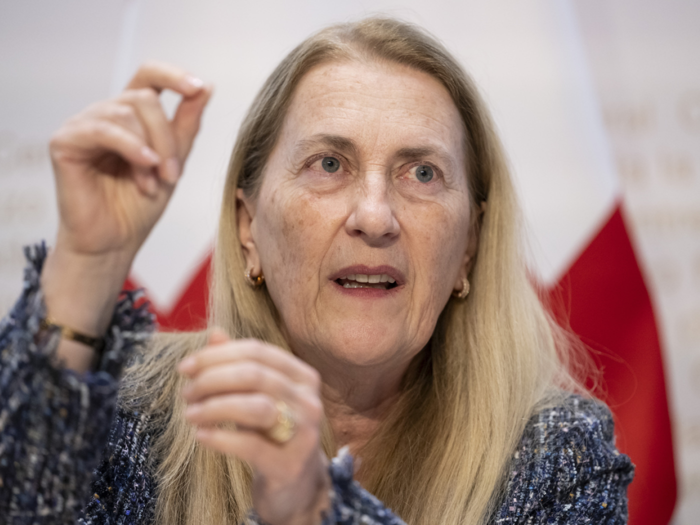 Budliger: Switzerland is "worried" but remains "positive" about the WTO