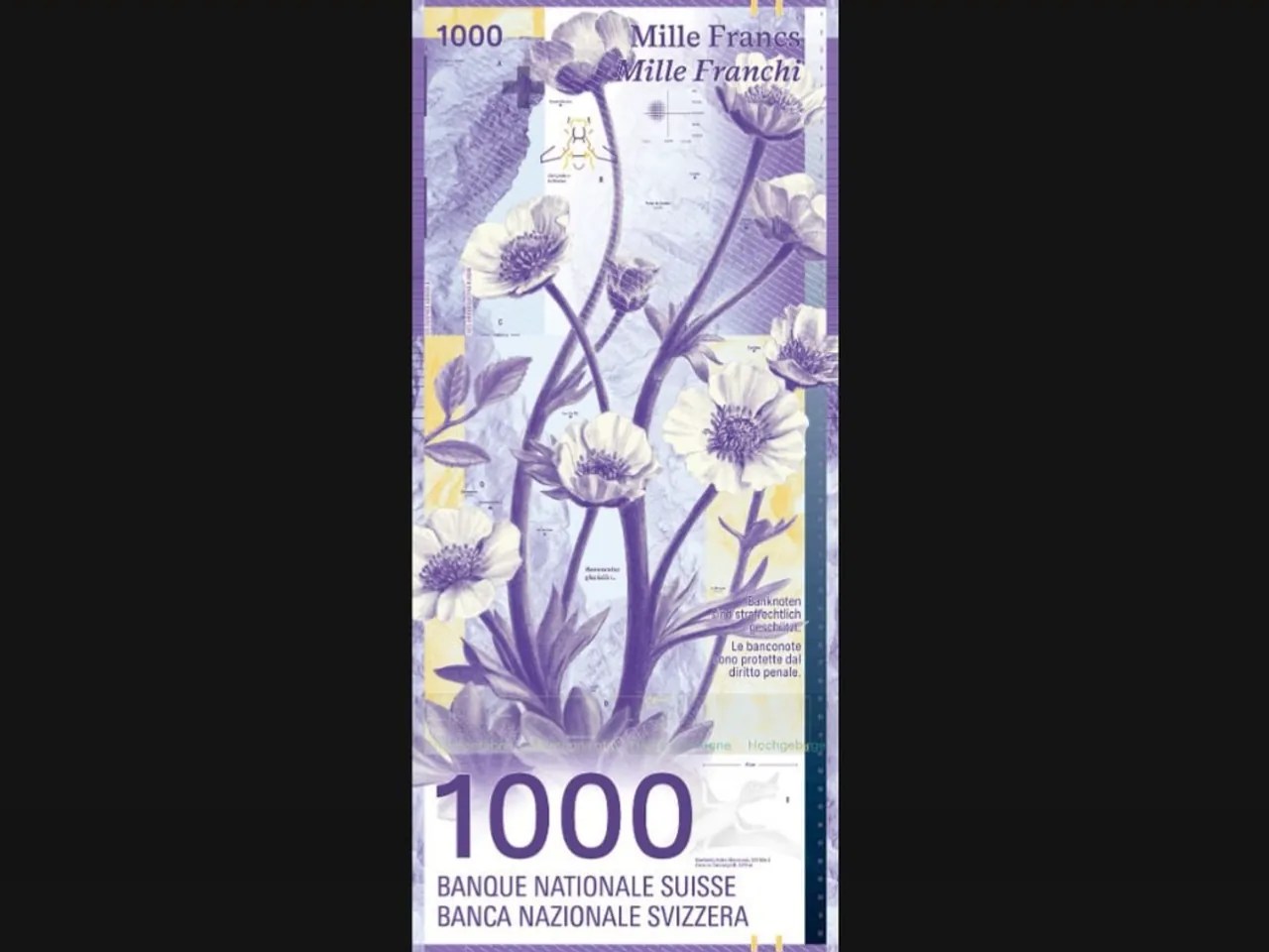 Voici la nouvelle série de billets de banque