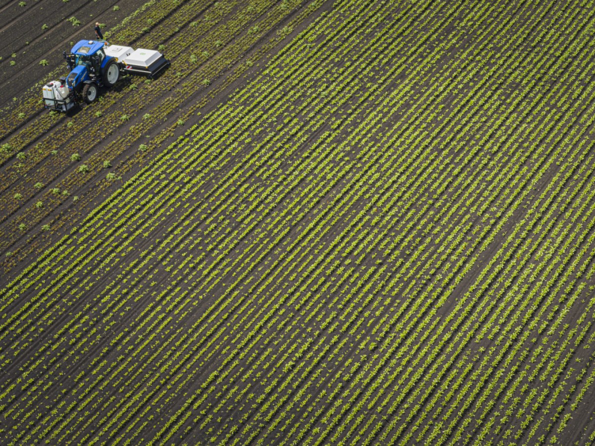 Syngenta loses appeal against Swiss ban on chlorothalonil fungicides Syngenta loses appeal against Swiss ban on chlorothalonil fungicides