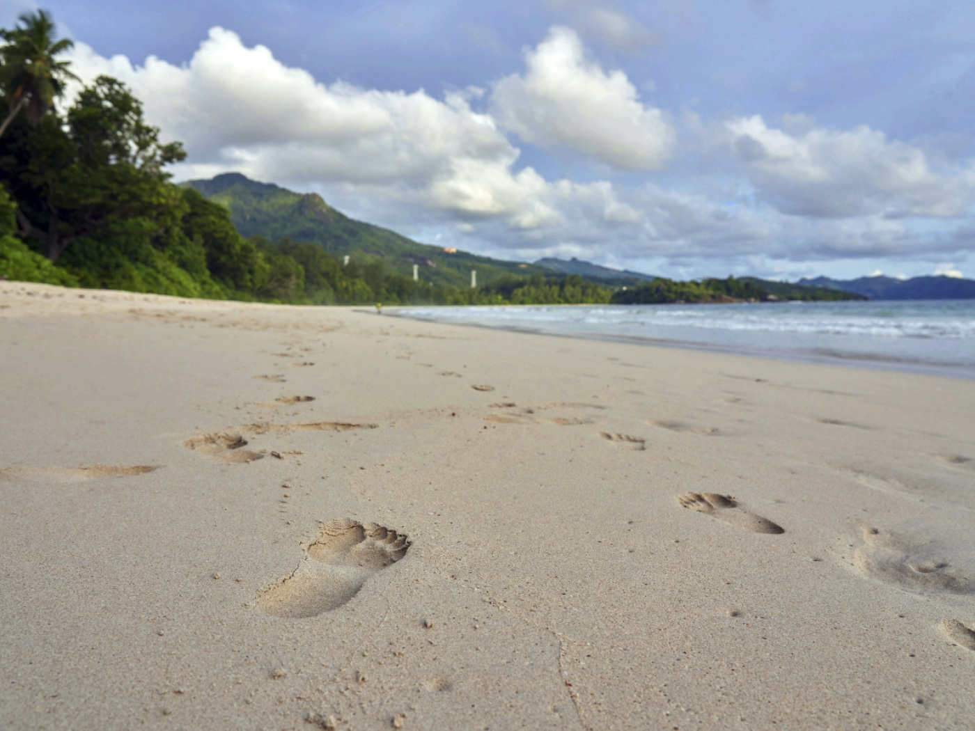 Seychelles: Swiss shipwreck survivors returned