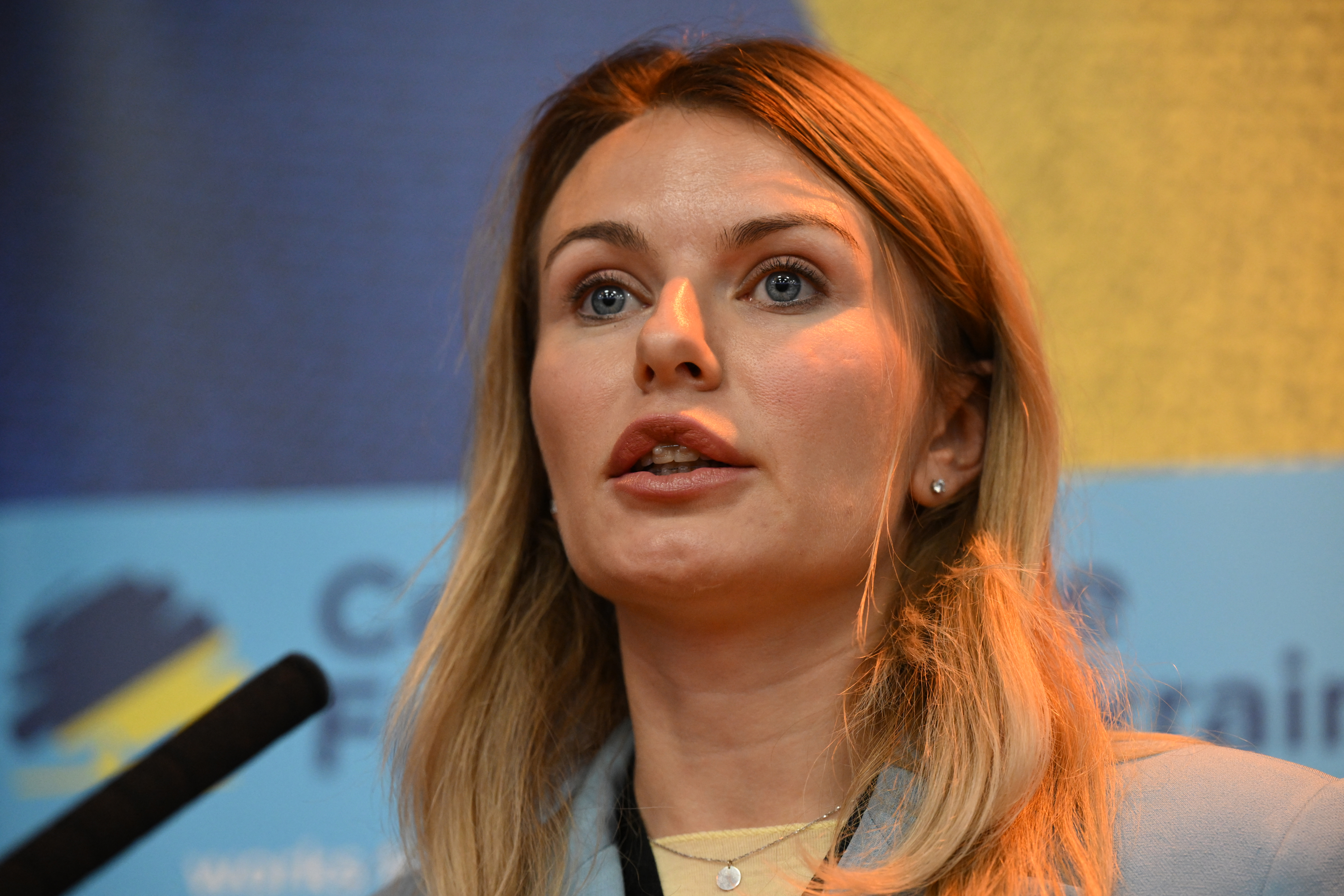 La PACE nombró a la parlamentaria y abogada ucraniana Lesya Vasylenko relatora especial para que elaborara un informe y un proyecto de resolución sobre el tema.