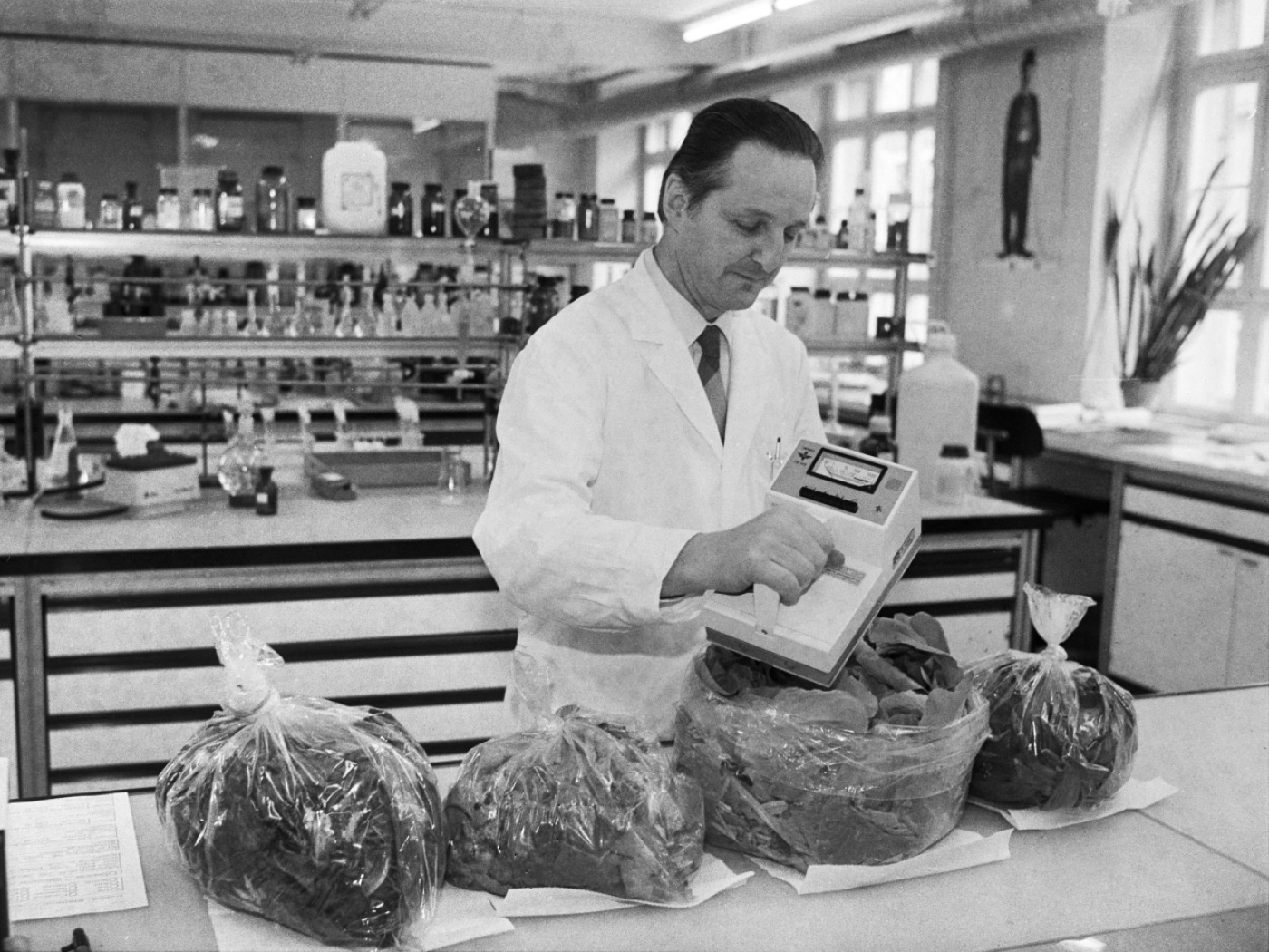 Cernobyl, quando la nube arrivò in Svizzera e si spazzolò insalata