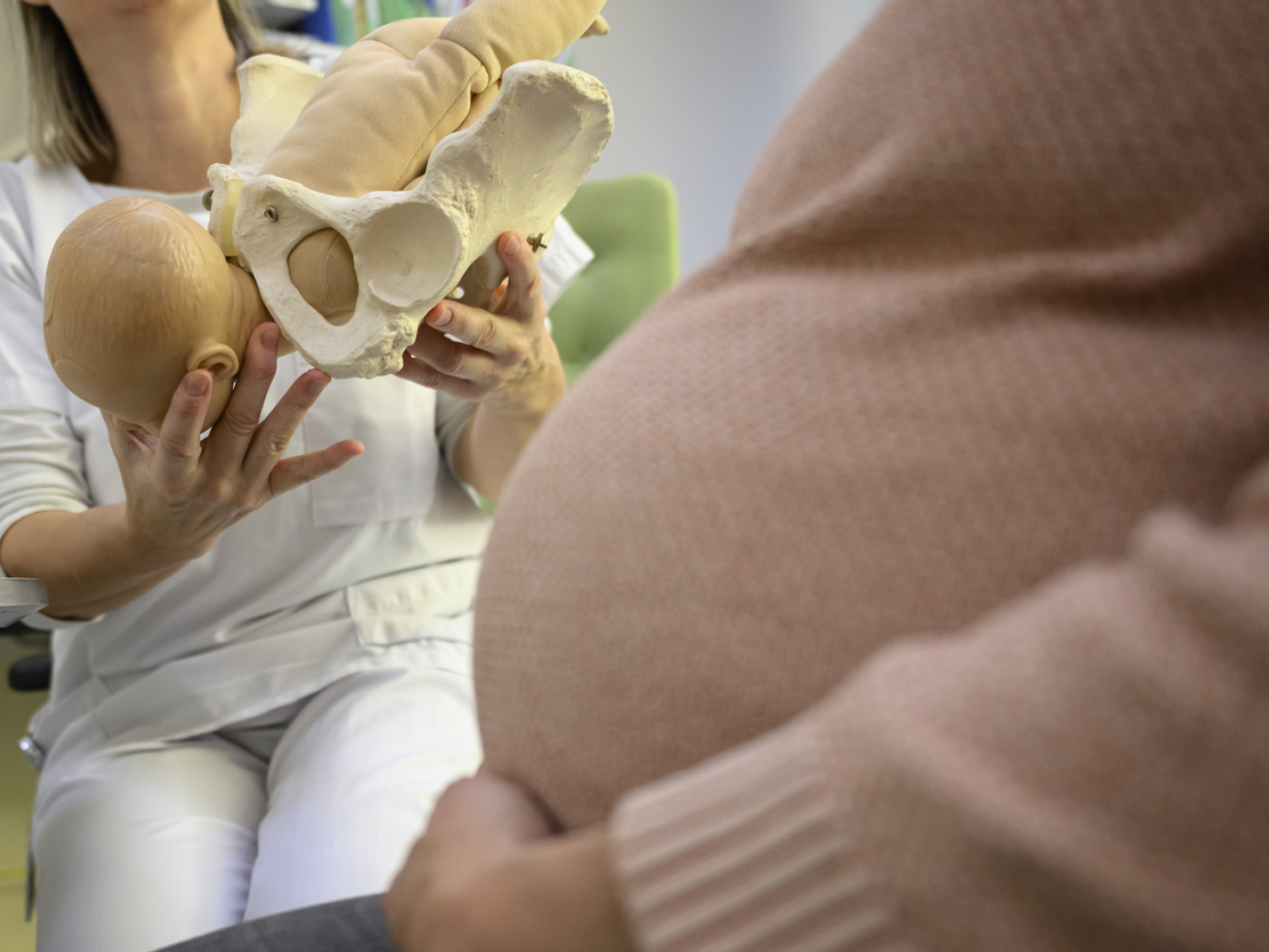 Bern researchers develop artificial placenta to test medicine