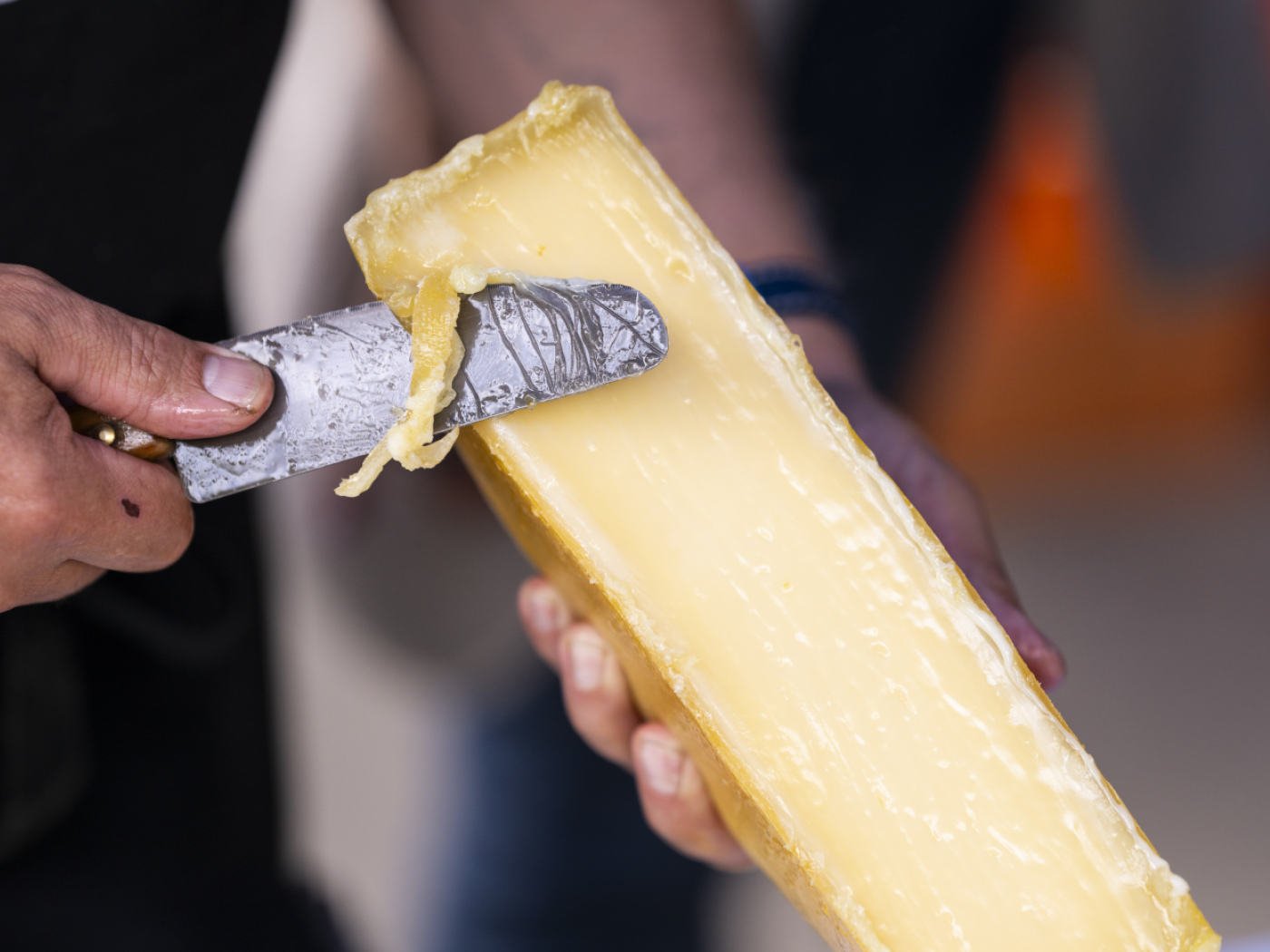 formaggio da raclette