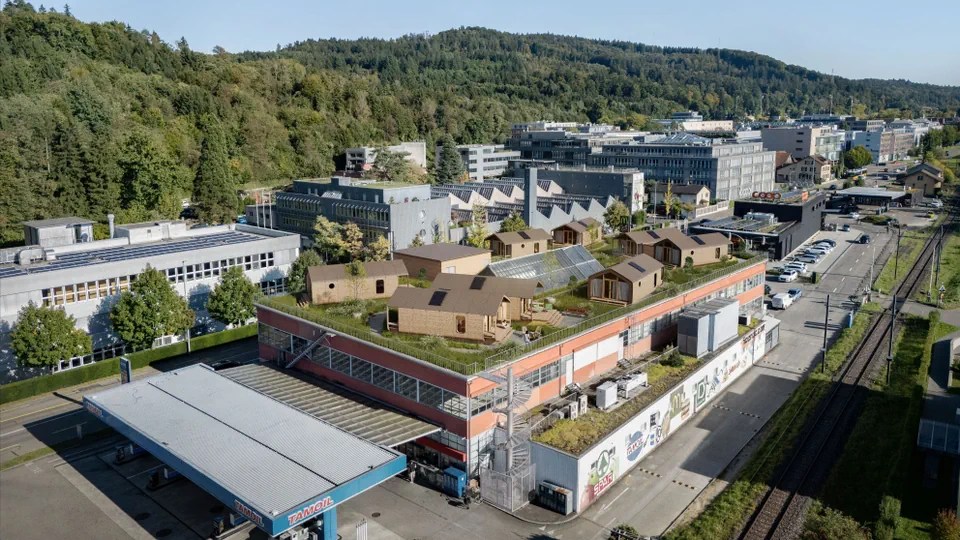 Die Visualisierung zeigt, wie die Holzhaussiedlung aussehen soll.