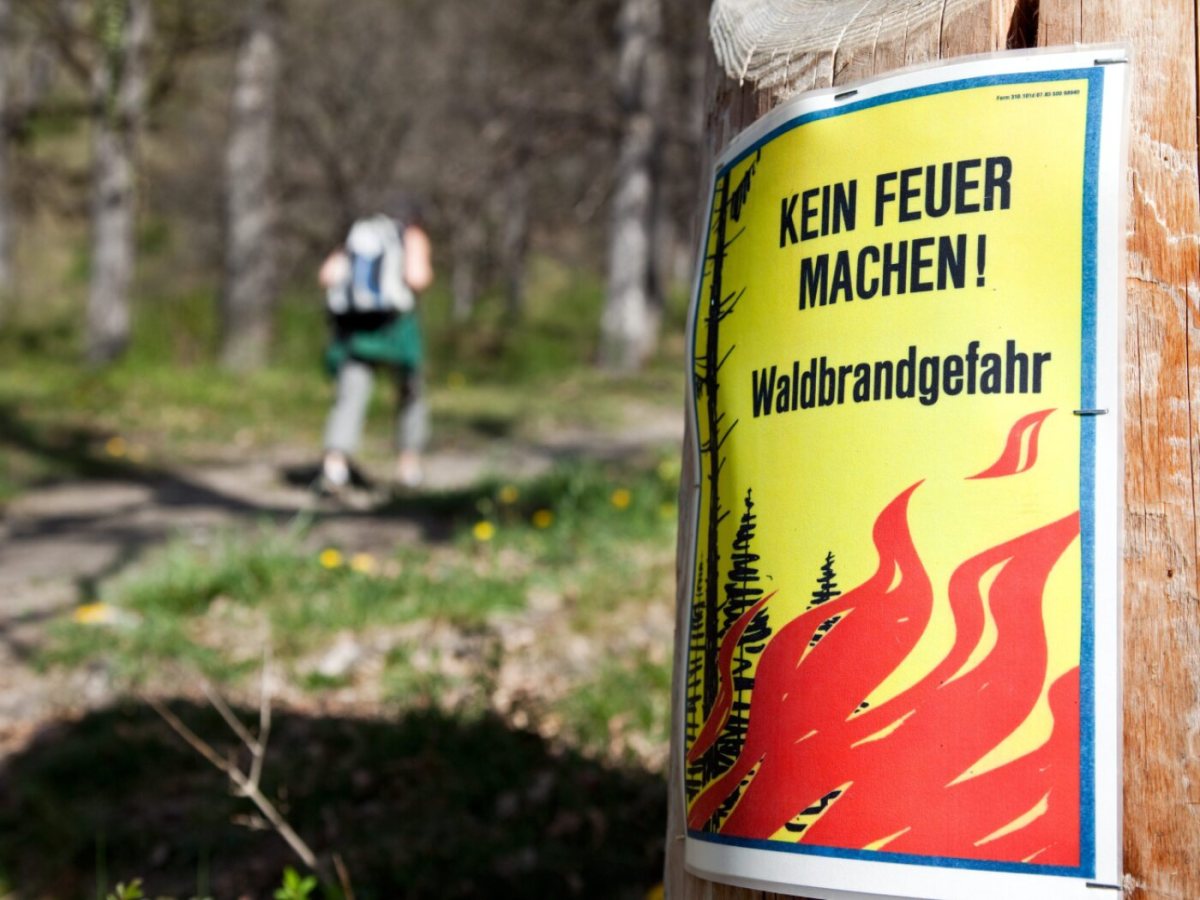 Firefighters dampen embers of Swiss forest fire Firefighters dampen embers of Swiss forest fire