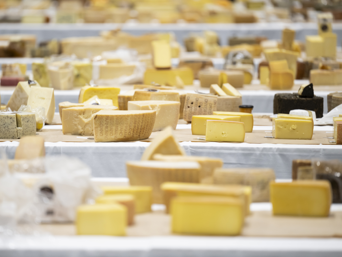 Salmonella-infected Swiss cheese dairy remains closed Salmonella-infected Swiss cheese dairy remains closed