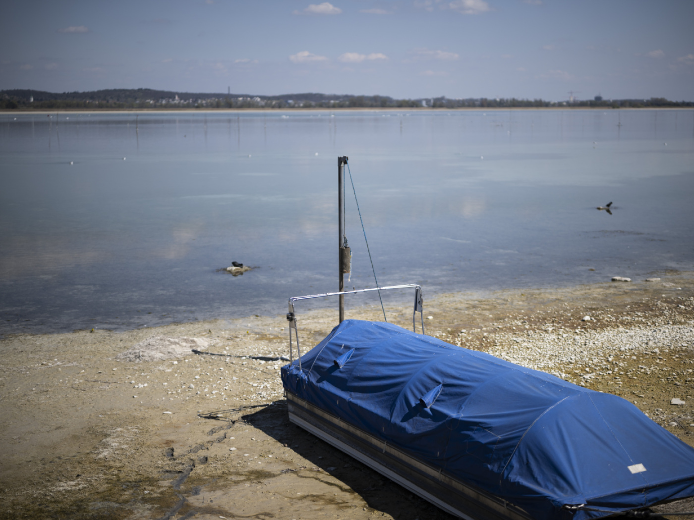 Swiss researchers fear climate impact in Lake Constance Swiss researchers fear climate impact in Lake Constance