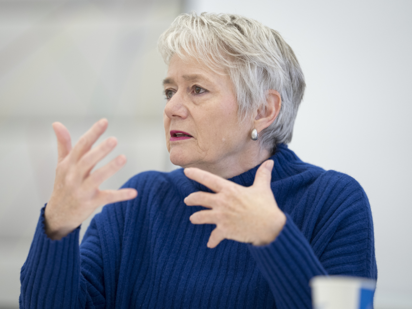 Domestic violence hotline in Zurich sees strong demand