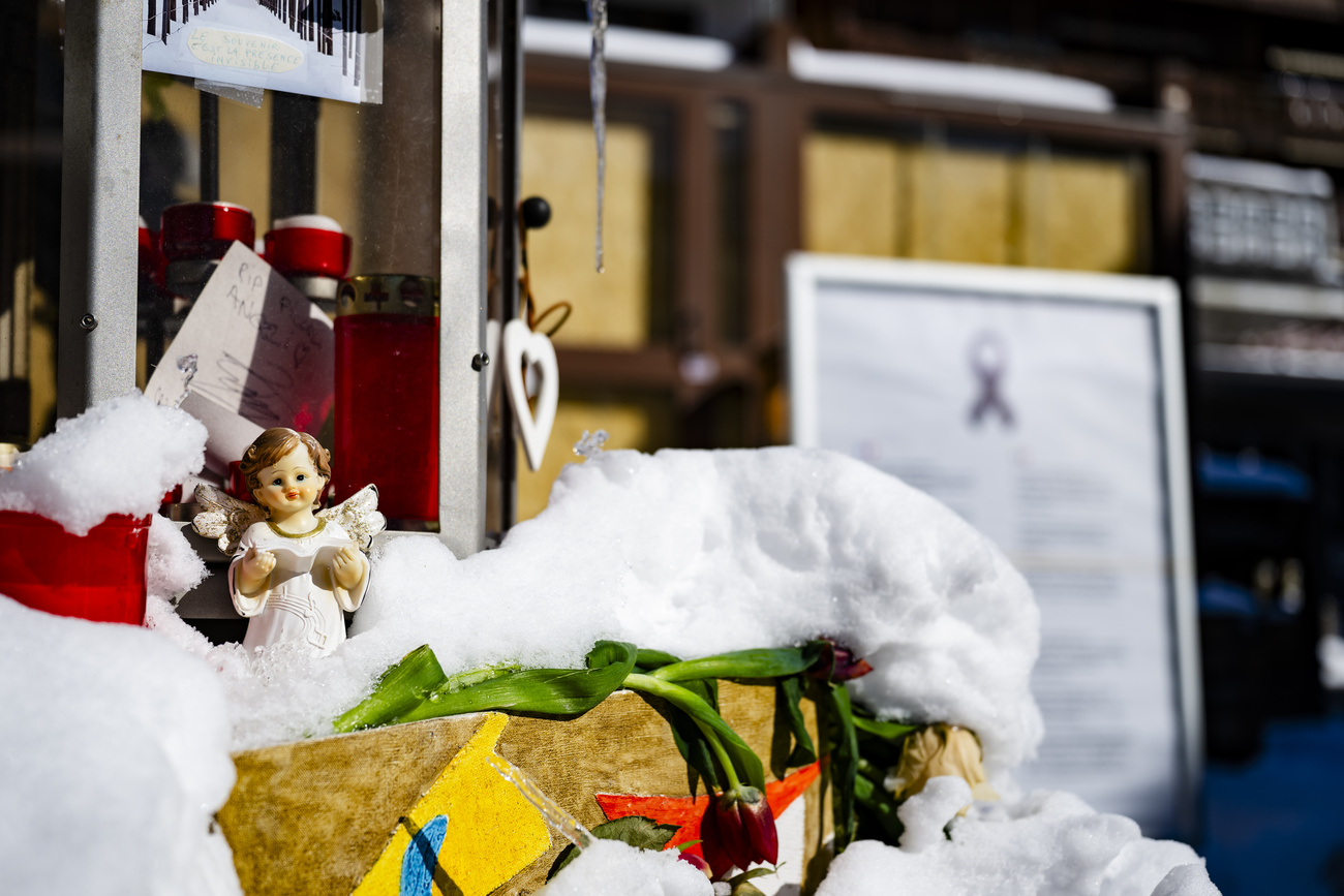 fiori davanti al le constellation