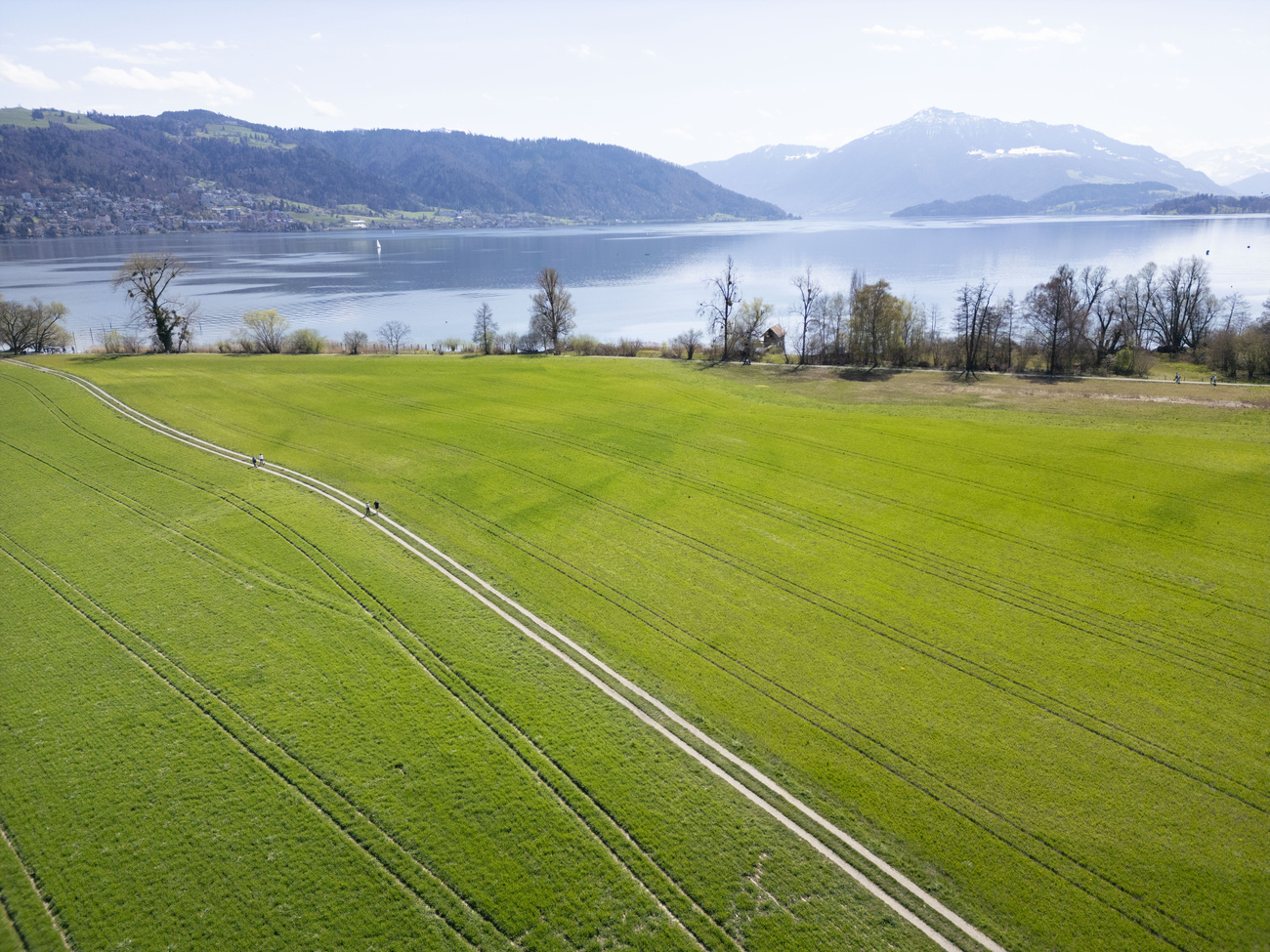 pianura della lorze a zugo