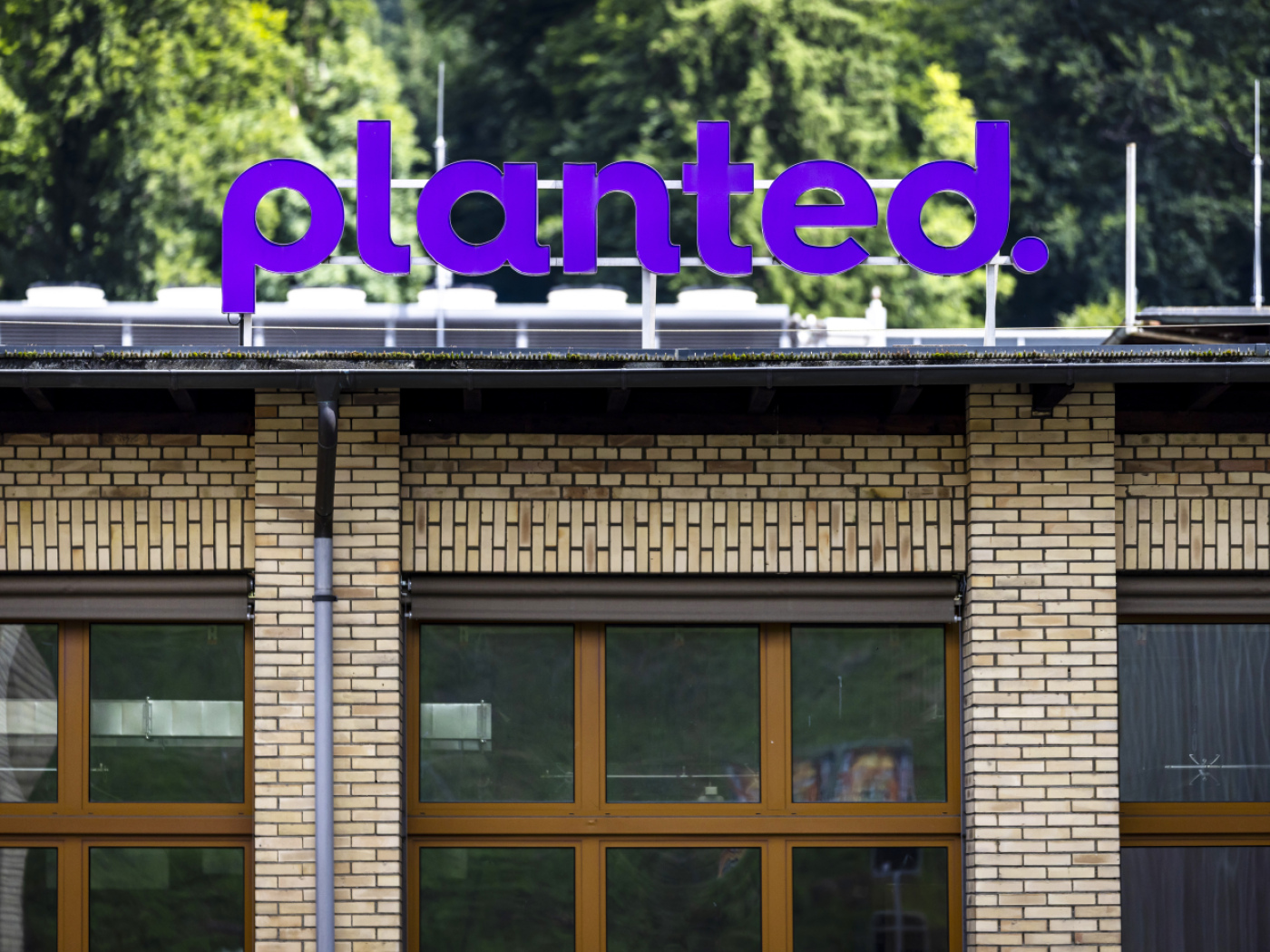 Swiss meat substitute firm Planted sheds senior positions Swiss meat substitute firm Planted sheds senior positions