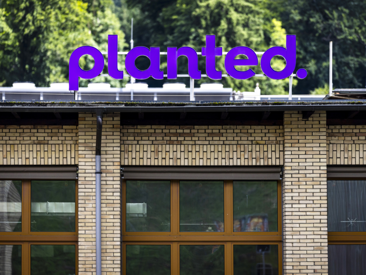 Planted: Rapid growth is followed by staff cuts
