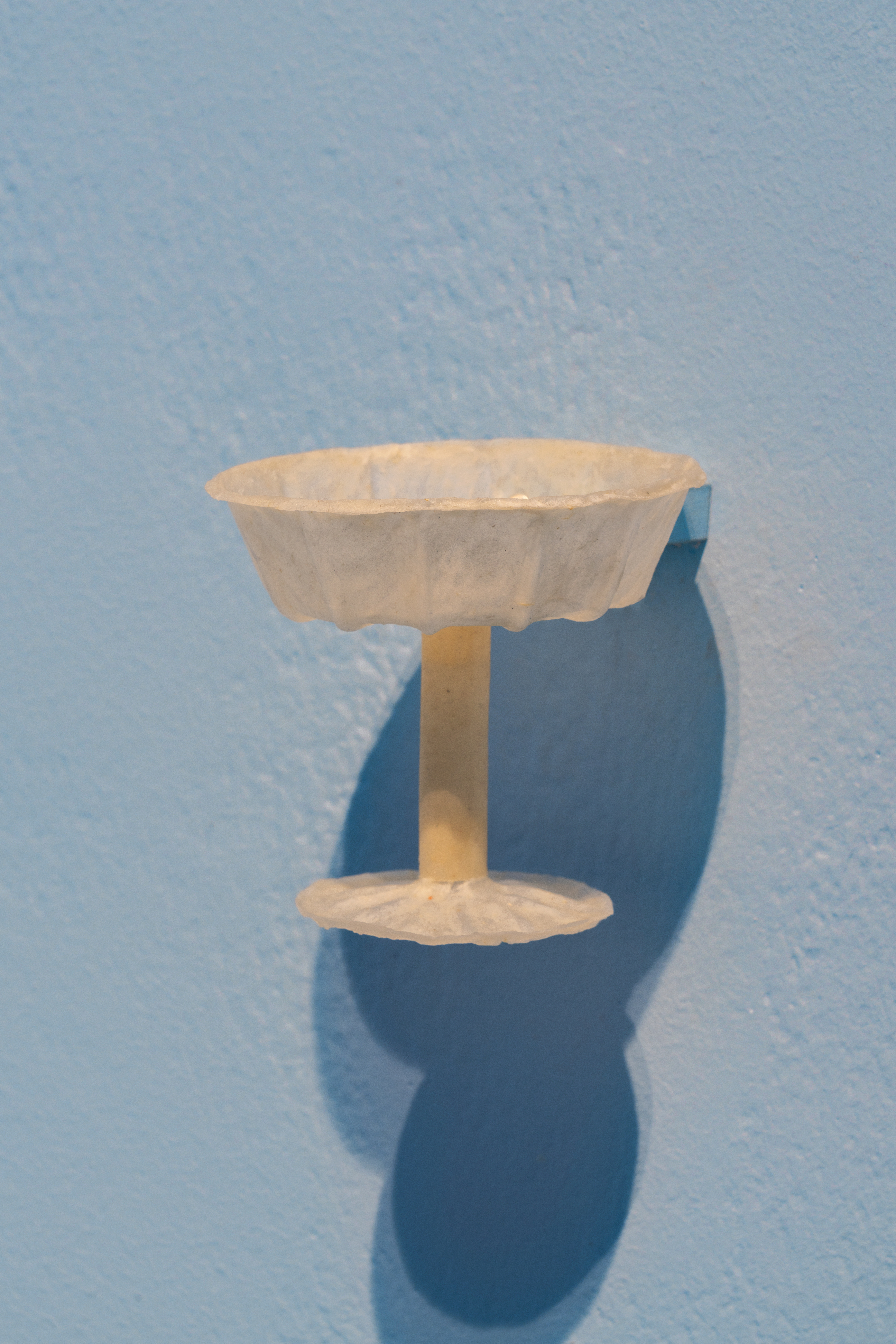 Bicchiere biodegradabile