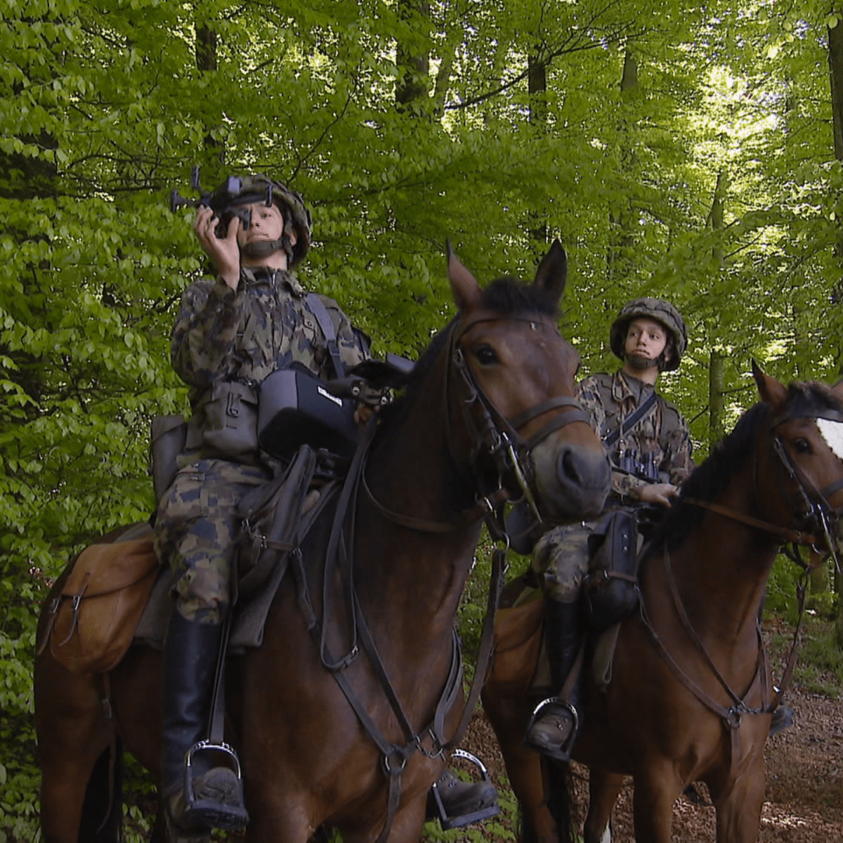 いいとも　スイス軍 伝統と技術の融合 スイス軍、馬とドローン操り監視を強化 - SWI