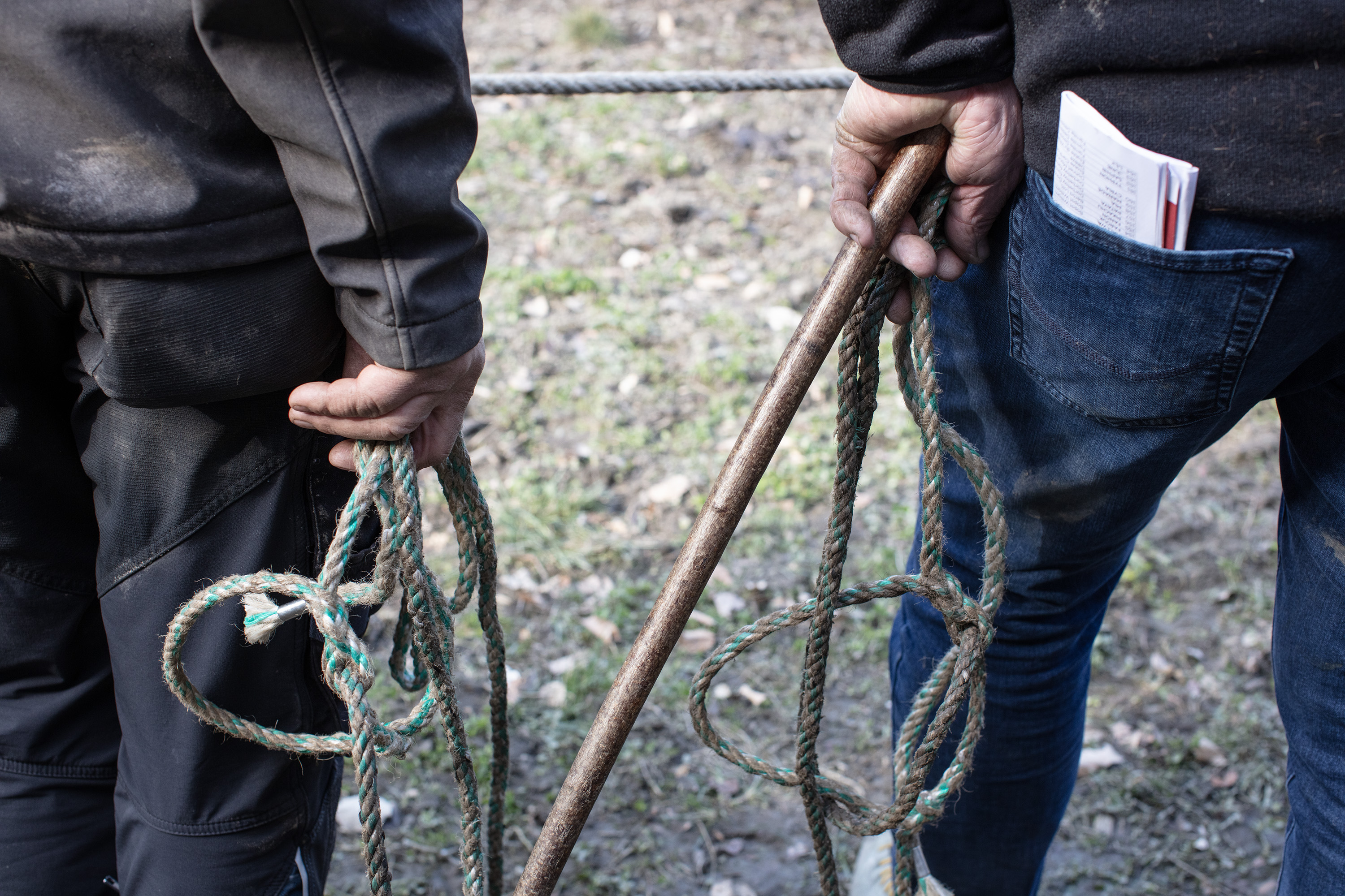 Persone reggono code e bastoni