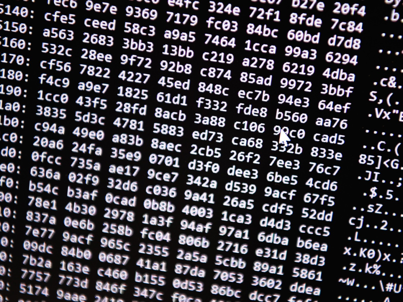 Market for cyber insurance growing rapidly